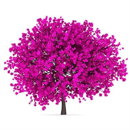 Árbol del amor  | Arbolitos