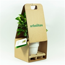 presentación regalo árbol | 