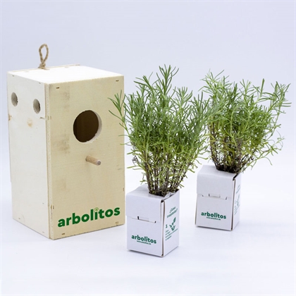 Dos plantas aromáticas en caja nido para pájaros | Arbolitos