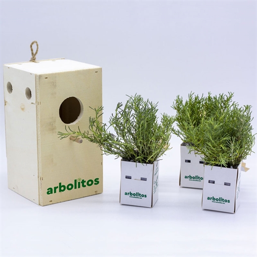 Cuatro plantas aromáticas en caja nido para pájaros