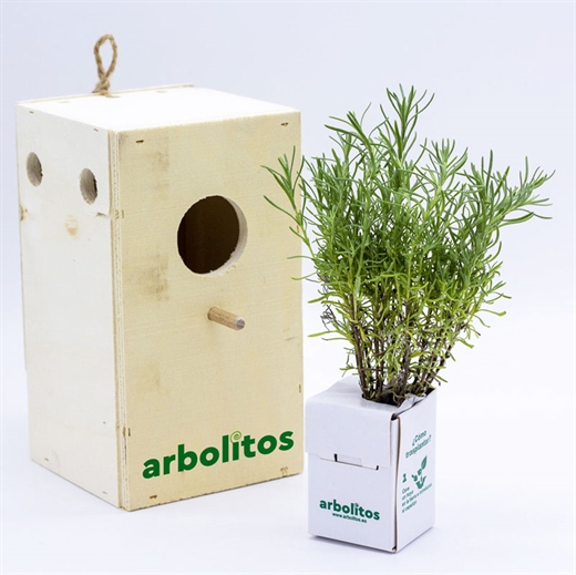 Planta aromática en caja nido para pájaros