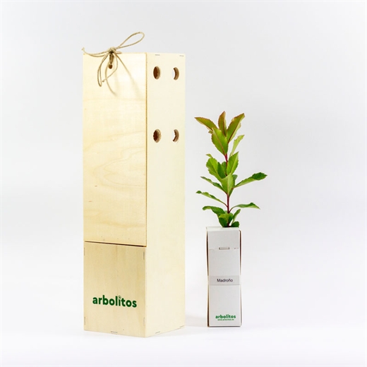 Madroño en caja deluxe | Arbolitos